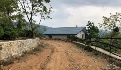 Ҽ����(�й���)�ٷ���վ